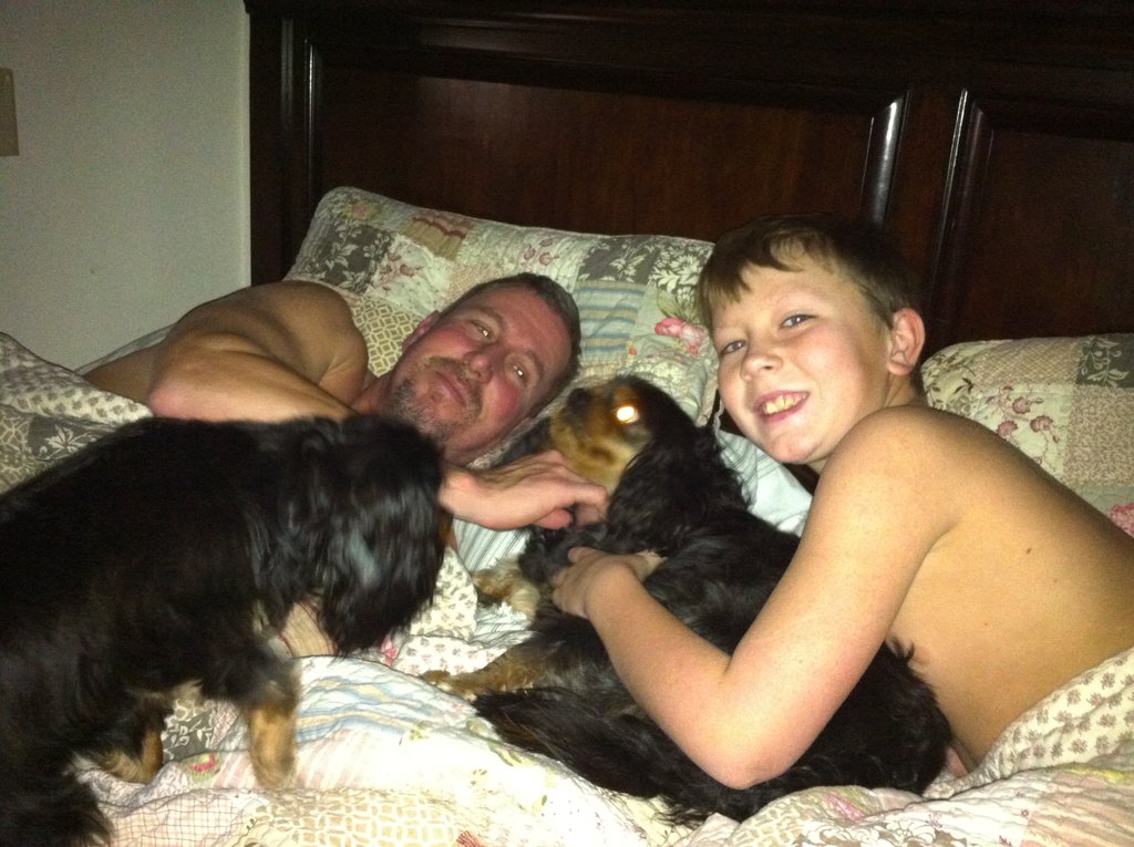 dd in bed with dad and dogs